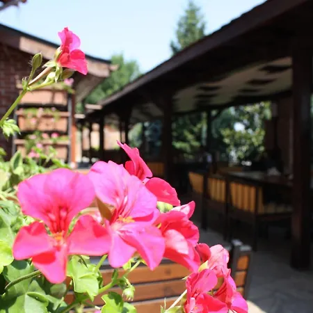 Hotel Villa Verde 3* Gulubovo (Stara Zagora)